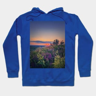 Summer sunset over meadow Hoodie